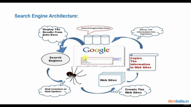 The Complete Beginners SEO Course from IIBM Institute – Screenshot 4