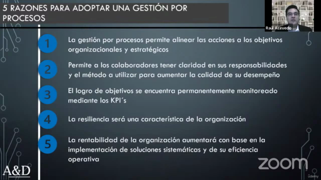 Gestión por Procesos – Screenshot 1