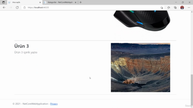 Uygulama Geliştirerek Asp.Net Core MVC Öğrenin-Kurumsal Site – Screenshot 3