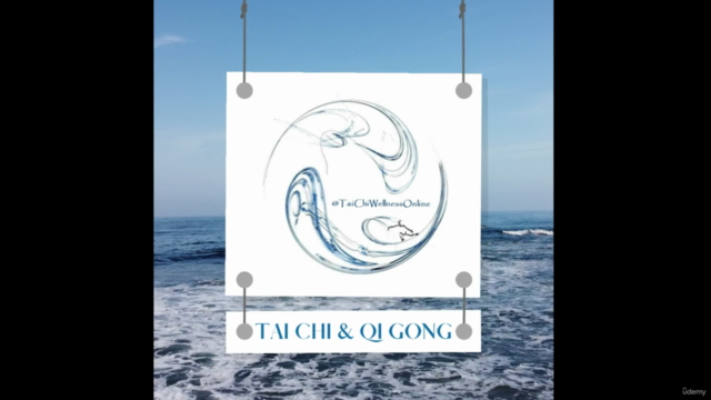 Tai Chi Fundamentals with Qi Gong Warm Up – Screenshot 2