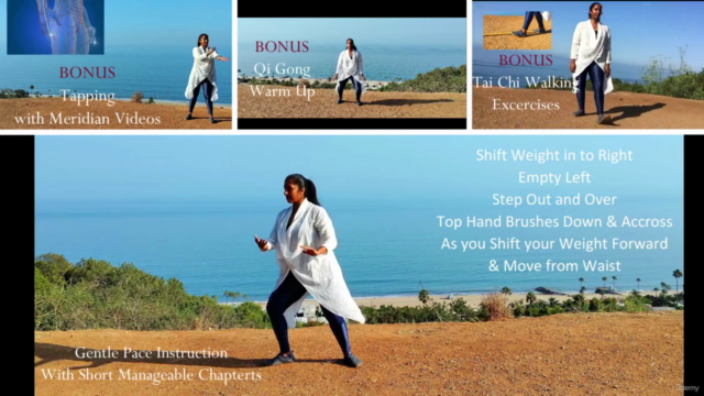 Tai Chi Fundamentals with Qi Gong Warm Up – Screenshot 3