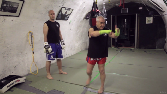 Learn Boxing and Streetfighting skills – Screenshot 1
