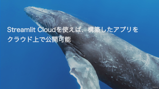 【Streamlit+Colab】人工知能Webアプリを手軽に公開しよう!-Pythonで構築し即時公開するAIアプリ- – Screenshot 2