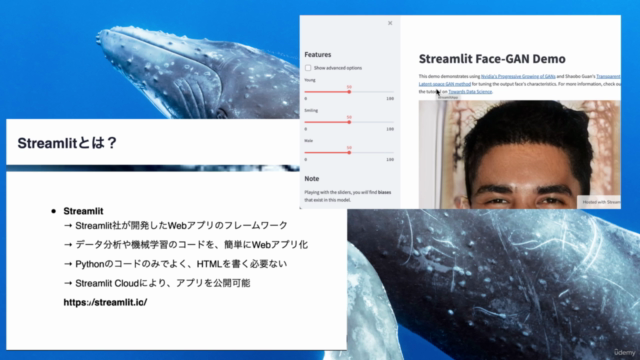【Streamlit+Colab】人工知能Webアプリを手軽に公開しよう!-Pythonで構築し即時公開するAIアプリ- – Screenshot 3
