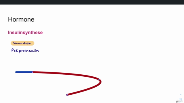 Biochemie 02 - Stoffwechselprozesse (8 Std) – Screenshot 1