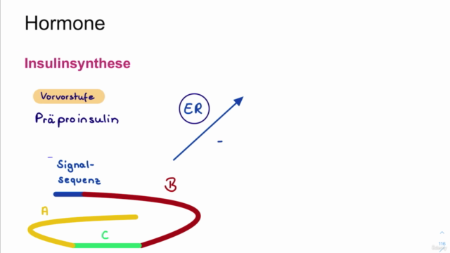 Biochemie 02 - Stoffwechselprozesse (8 Std) – Screenshot 2