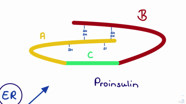 Biochemie 02 - Stoffwechselprozesse (8 Std) – Screenshot 3