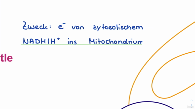 Biochemie 03 - Expertenmodul (+ dein Wunschthema!) – Screenshot 1