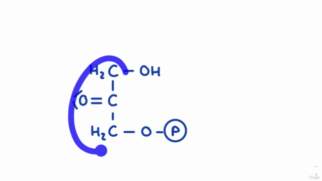 Biochemie 03 - Expertenmodul (+ dein Wunschthema!) – Screenshot 2
