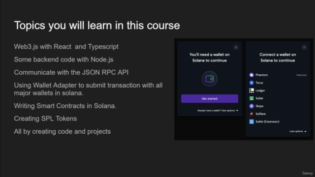 Solana Blockchain Developer Foundation - Rust and Typescript – Screenshot 3