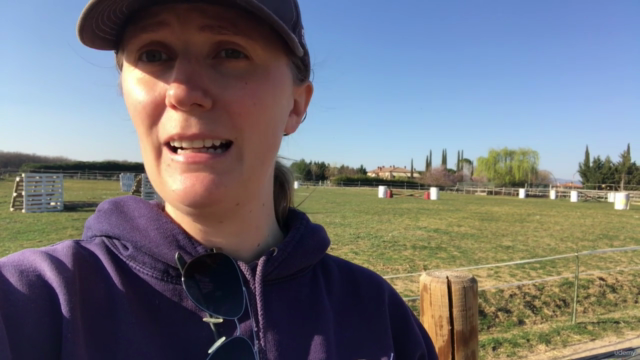 The Perfect Warmup for Your Horse – Screenshot 2