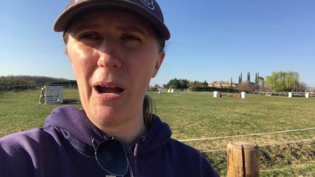 The Perfect Warmup for Your Horse – Screenshot 4