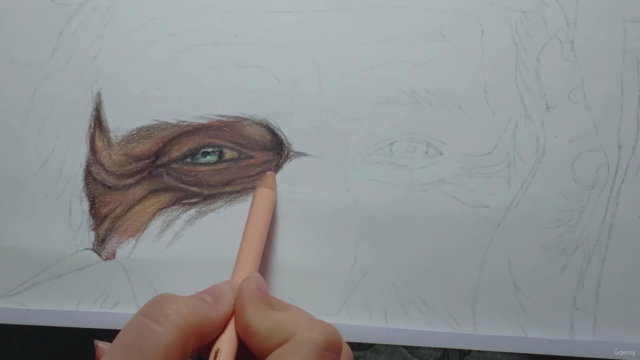 Portrait Drawing- Drawing an Old Man with Colored Pencils - Screenshot_01