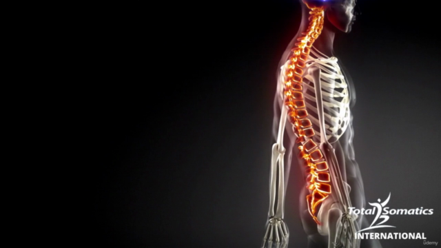 Release tight hips & back with Clinical Somatic Movement – Screenshot 3