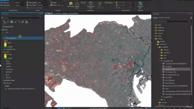 Remote Sensing using ArcGIS Pro - AulaGEO – Screenshot 2