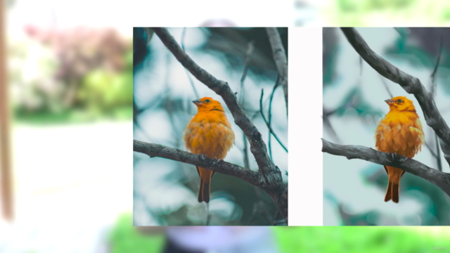 Realism Masterclass: realistic digital art – Screenshot 1