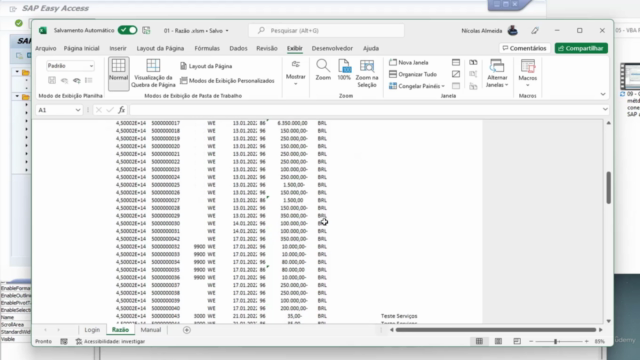 Automatização do SAP com VBA – Screenshot 2