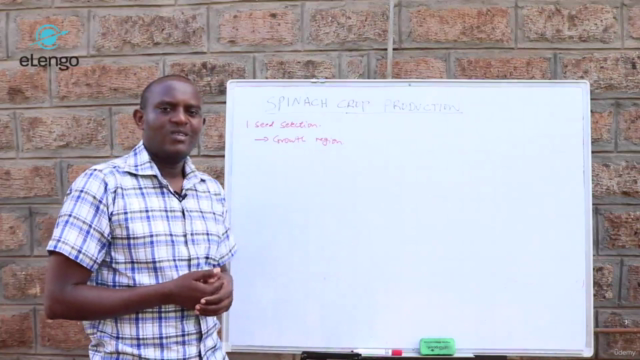 Spinach Farming Masterclass: Seed-to-Harvest Profits – Screenshot 2