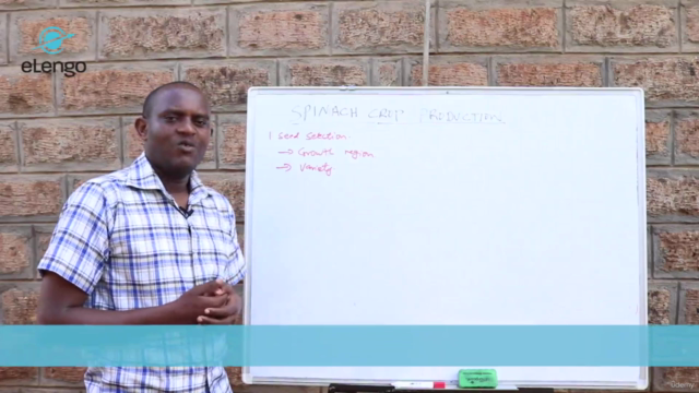 Spinach Farming Masterclass: Seed-to-Harvest Profits – Screenshot 4