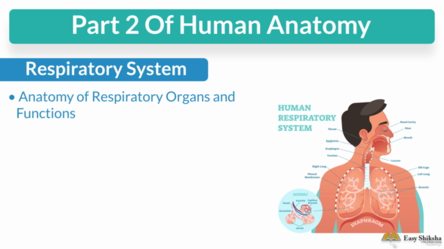 Human Anatomy and Physiology Part-II – Screenshot 1