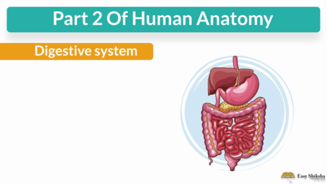 Human Anatomy and Physiology Part-II – Screenshot 2
