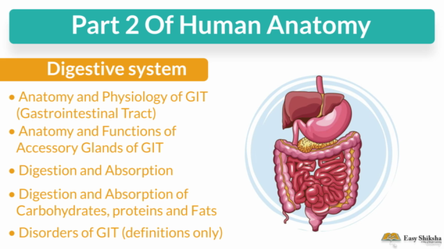Human Anatomy and Physiology Part-II – Screenshot 3