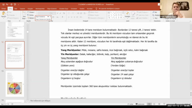 Meridyen Enerji Kanalları – Screenshot 4
