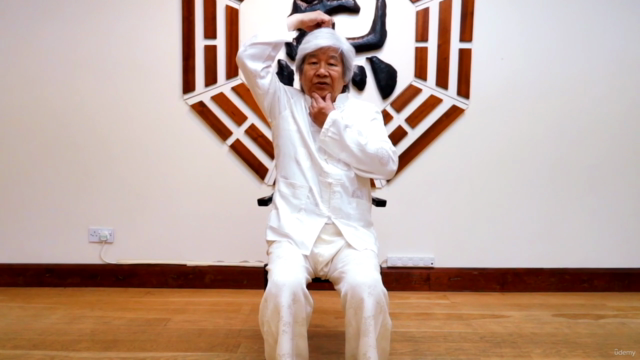 Qigong Course - All Levels – Screenshot 3