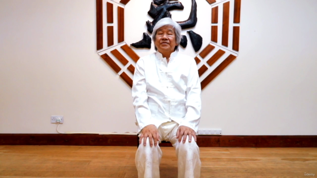 Qigong Course - All Levels – Screenshot 4