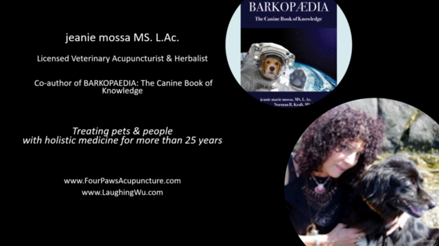Herbs and Natural Remedies for Dogs – Screenshot 1
