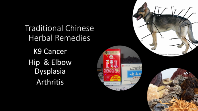 Herbs and Natural Remedies for Dogs – Screenshot 2
