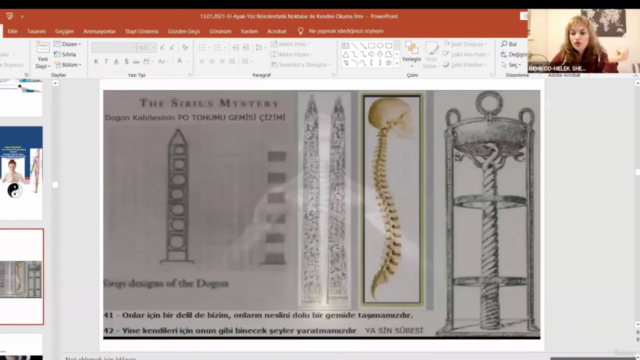 Meridyen Enerji Akışı Egzersizleri – Screenshot 3
