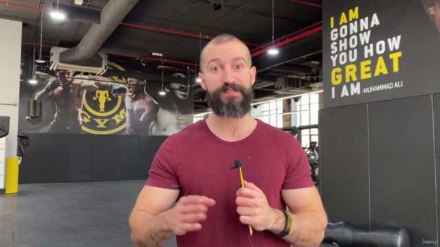 The best bro-split gym training – Screenshot 2