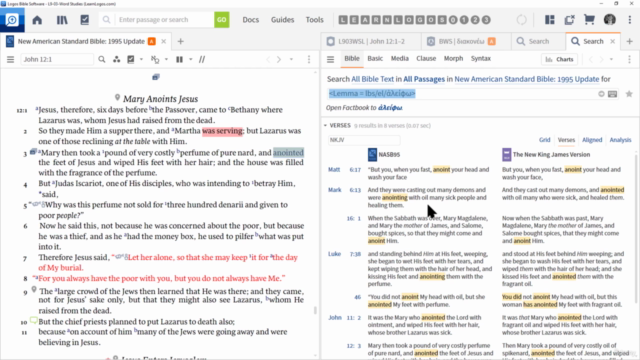 The Ultimate Mastering Megacourse for Logos Bible Software – Screenshot 2