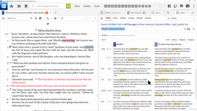 The Ultimate Mastering Megacourse for Logos Bible Software – Screenshot 3