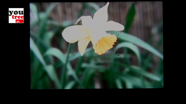 Anatomy of Digital Photography – Screenshot 2
