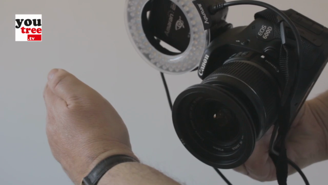 Anatomy of Digital Photography – Screenshot 3