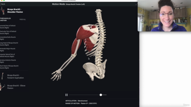Applied Yoga Anatomy: 101 The Language of Anatomy & Movement – Screenshot 1