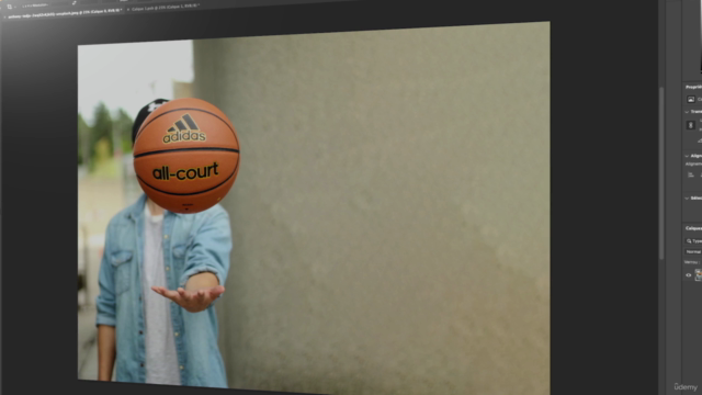 Adobe Photoshop CC pour les Débutant cours sur l'essentiel – Screenshot 3
