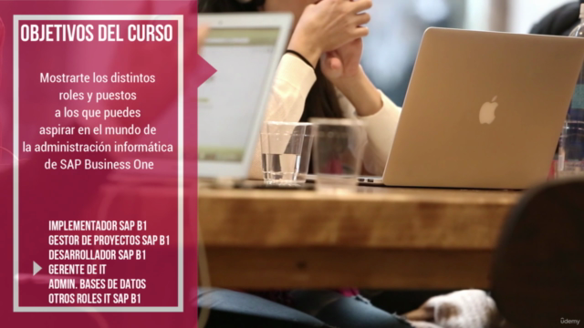 Introducción a la gestión informática de SAP Business One – Screenshot 1