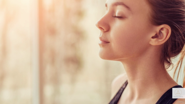 Breathwork Teacher Training Certificate Course – Screenshot 2