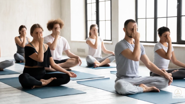 Breathwork Teacher Training Certificate Course – Screenshot 3
