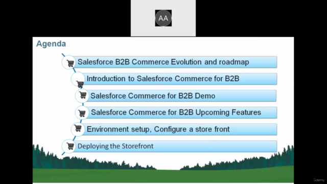 Salesforce B2B Commerce on lightning (with Hands-on exp.) – Screenshot 1