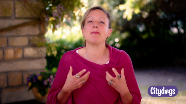 Dog Training with Dog Talk — Become a Dog Whisperer – Screenshot 1
