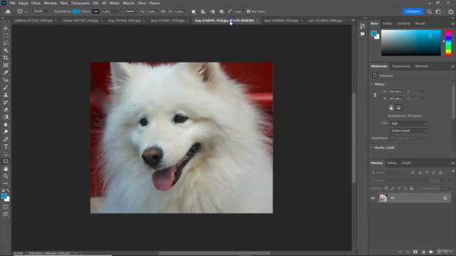 Adobe Photoshop CC Edycja Obróbka Zdjęć od Zera do Bohatera – Screenshot 2