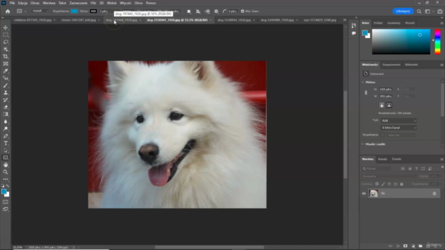 Adobe Photoshop CC Edycja Obróbka Zdjęć od Zera do Bohatera – Screenshot 3