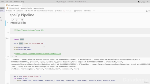 NLP con Python: Procesamiento de Lenguaje Natural con Python – Screenshot 2