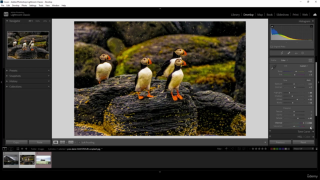 Adobe Lightroom Classic Master Class – Screenshot 1