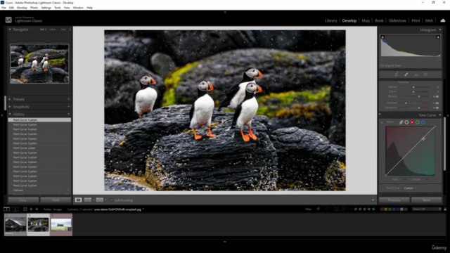 Adobe Lightroom Classic Master Class – Screenshot 2