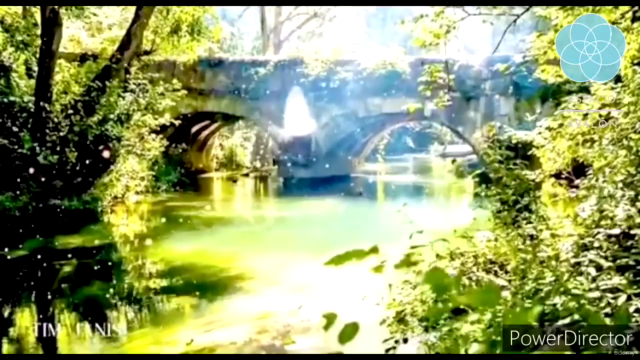 Sanación Telúrica Ancestral de Avalon Celtic Reiki Nivel II – Screenshot 3